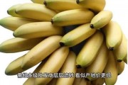 国产在线大香蕉